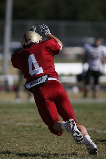 米兰体育(中国大陆)官网-西甲球队热区分析调整防守布局策略,西甲热度