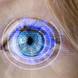 米兰体育网页版(官方}-训练负荷科学监测，训练负荷诊断