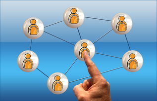 米兰体育在线-体育新闻中心参与高校体育传媒课程共建，体育新闻与管理系